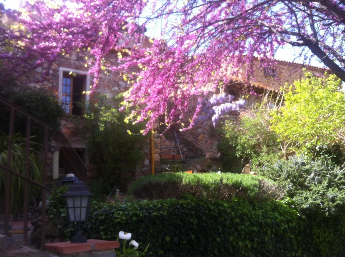 Bed and Breakfast La Figuera Camélas Exterior foto