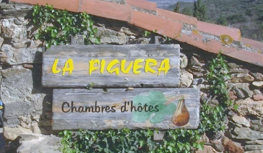 Bed and Breakfast La Figuera Camélas Exterior foto